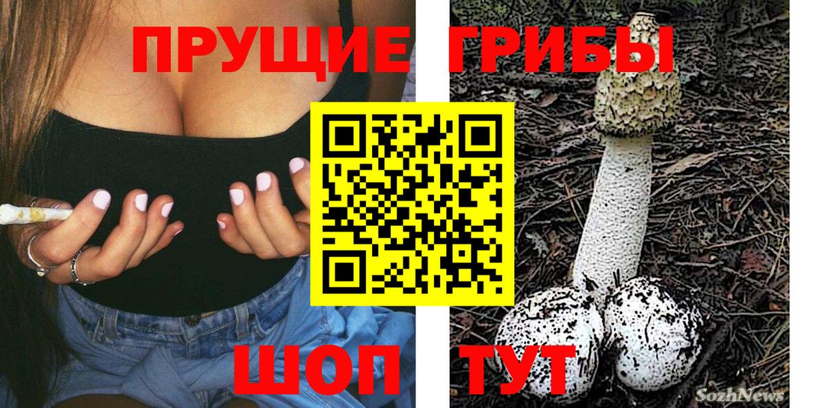 цена   Галлюциногенные грибы Magic Shrooms  Вход с VPN  Галлюциногенные грибы прущие грибы  Гусиноозёрск 