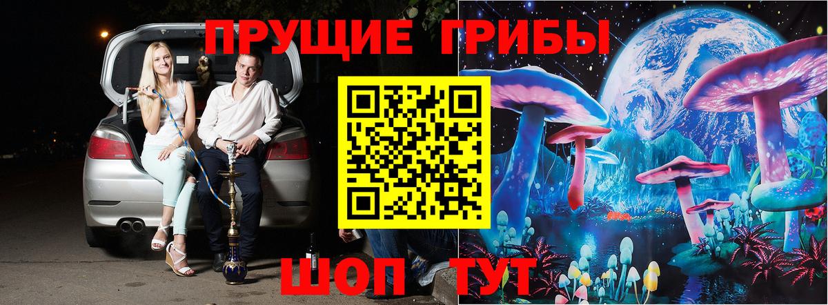 Псилоцибиновые грибы GOLDEN TEACHER  Гусиноозёрск  Галлюциногенные грибы Psilocybine cubensis 